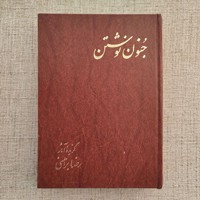کتاب جنون نوشتن