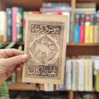 موش و گربه 