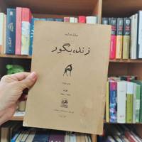 زنده بگور