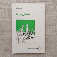 شکفتن در مه