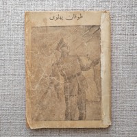 طوفان پهلوی 