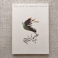 پرندگان قشم