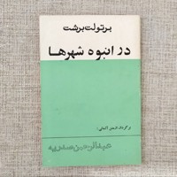 در انبوه شهرها
