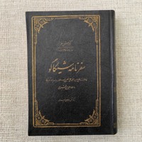 سفرنامه شیکاگو