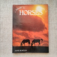 Horses , اسب ها